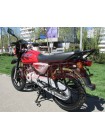 Bajaj Boxer 150X Disk
