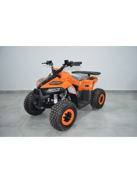 Квадроцикл Comman B5 Mudhawk