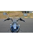 Bajaj Avenger 220 Cruise