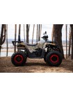Квадроцикл Comman Scorpion 200cc New