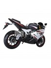 Спортивний мотоцикл SHINERAY Z1 250