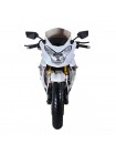 Спортивний мотоцикл SHINERAY Z1 250