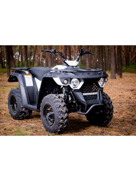 Квадроцикл Linhai M150 Eyas