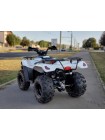 Квадроцикл Linhai LH300b 2х4