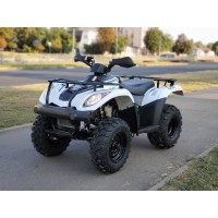 Квадроцикл Linhai LH300b 2х4