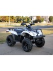 Квадроцикл Linhai LH300b 2х4
