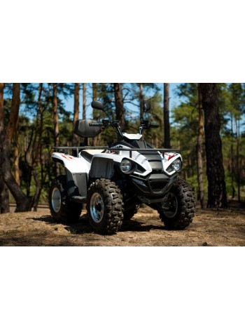 Квадроцикл Linhai Z180