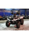 Квадроцикл Linhai LH300ATV-3D