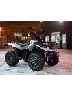 Квадроцикл Linhai LH300ATV-3D