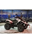 Квадроцикл Linhai LH300ATV-3D