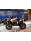 Квадроцикл Linhai LH300ATV-3D