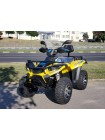 Электроквадроцикл Linhai LH40DA 4000W