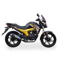 Дорожный мотоцикл Lifan KP200 (Irokez 200)