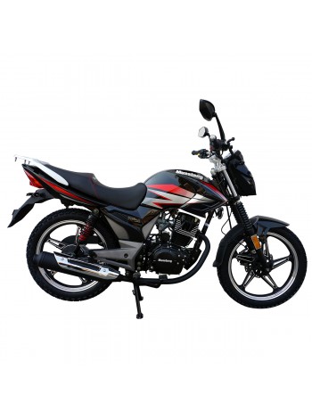 Дорожный мотоцикл Musstang MT200-6