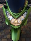 Спортивний мотоцикл SHINERAY Z1 250